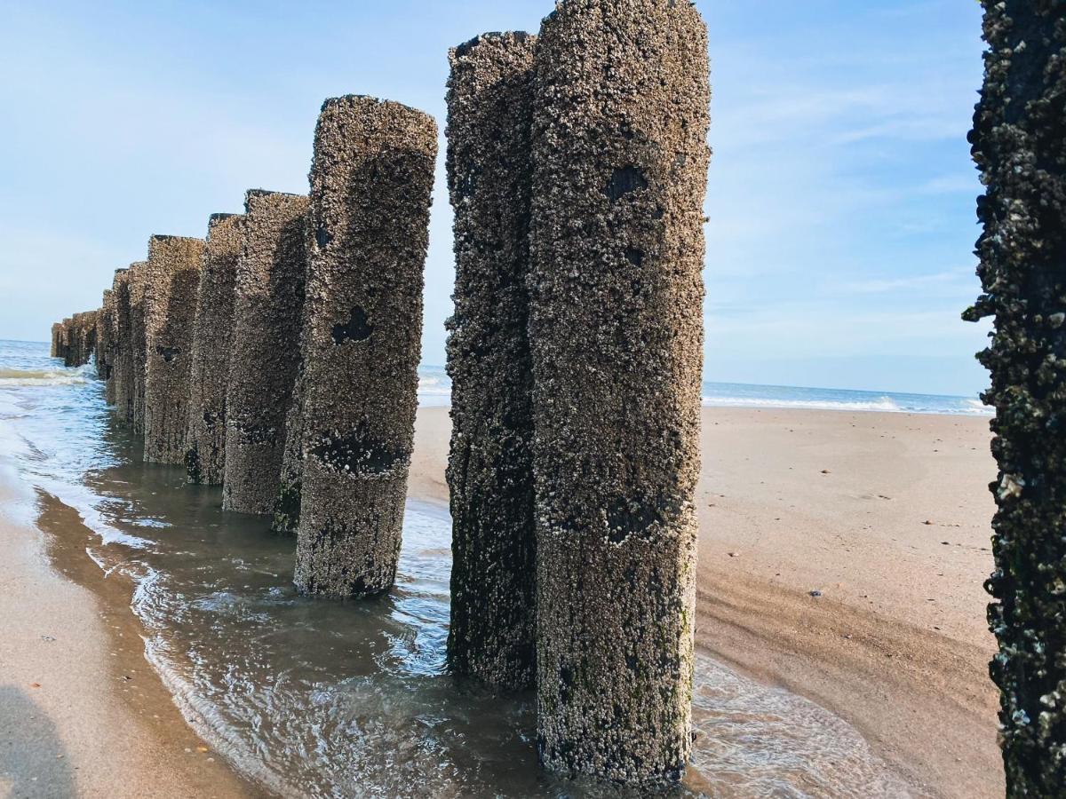 Vakantiehuis Domburg Do33 Εξωτερικό φωτογραφία